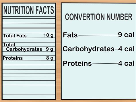 Understanding Calorie Conversion