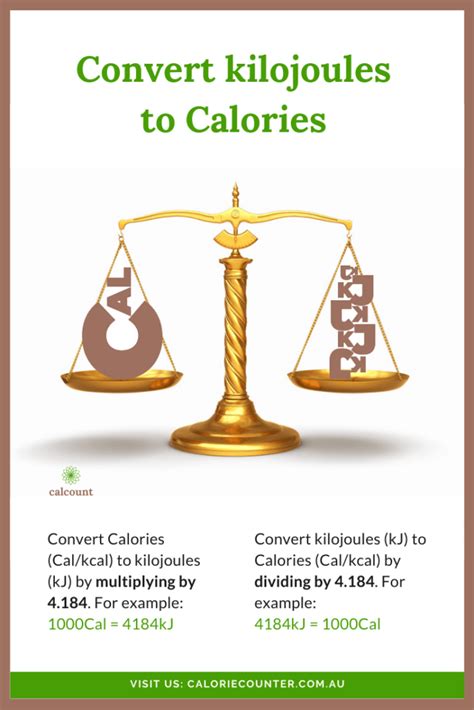 Understanding Calories, kJ, and kcal