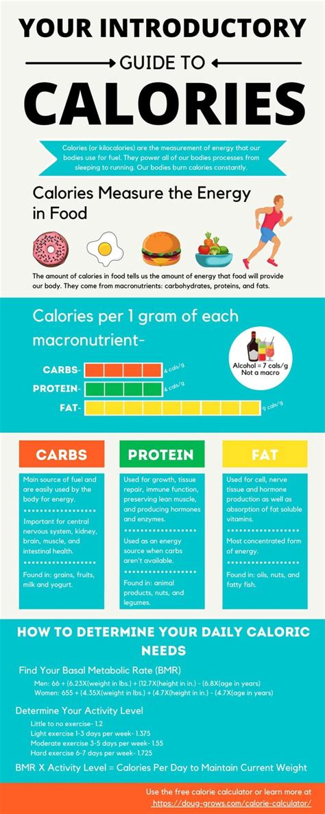 Understanding Calories and Kcalories