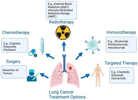 Understanding Cancer Therapies Epub