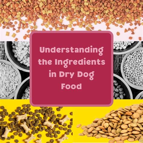 Understanding Canine Dry Food