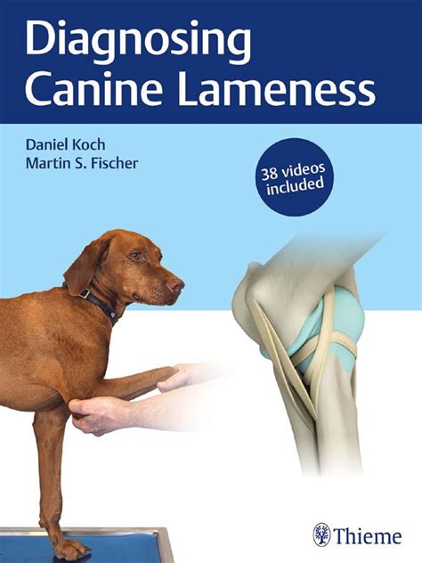 Understanding Canine Lameness: A Comprehensive Guide