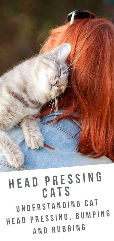 Understanding Cat Head Pressing