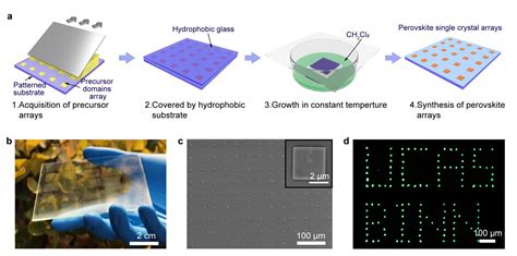 Understanding Chip Crystals