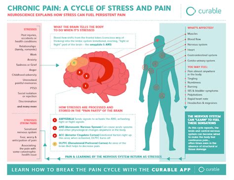 Understanding Chronic Pain and Anxiety