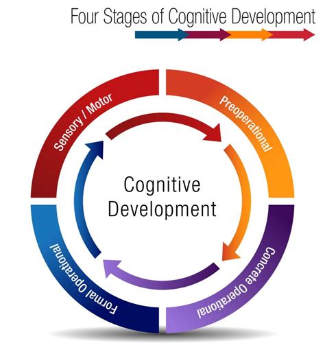 Understanding Cognitive Development