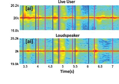 Understanding Continuous Video LIVENESS (CVL)