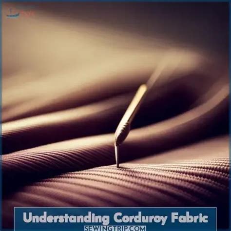 Understanding Corduroy's Unique Appeal