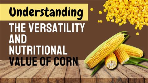 Understanding Corn's Nutrition Demands