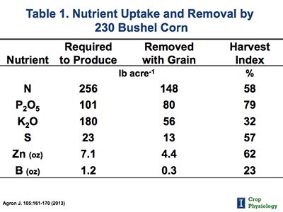 Understanding Corn Nutrient Requirements