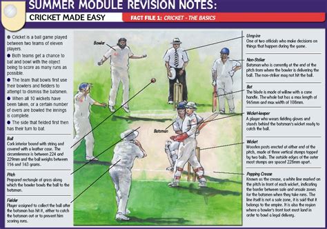 Understanding Cricket