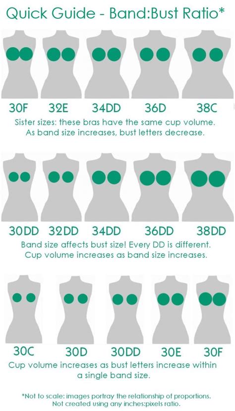 Understanding Cup Sizes