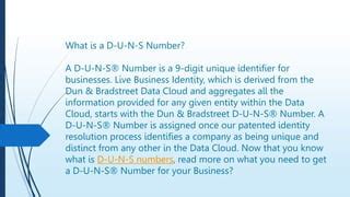 Understanding D-U-N-S Number: A Key to Business Identity