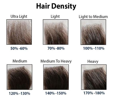 Understanding Density: The Key to Hair Volume