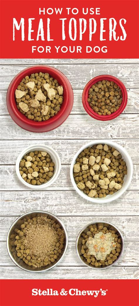 Understanding Dog Food Toppers