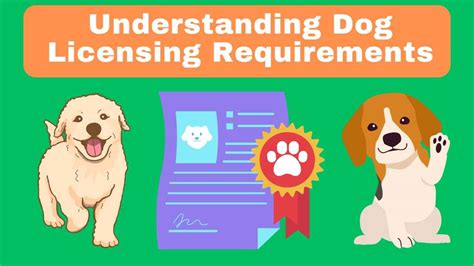 Understanding Dog Licensing and Vaccination Requirements