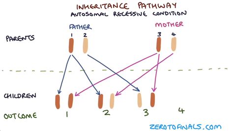 Understanding Dominance Location