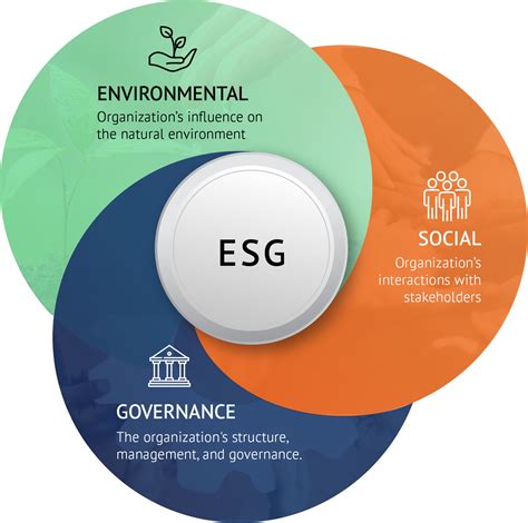 Understanding ESG Stewardship