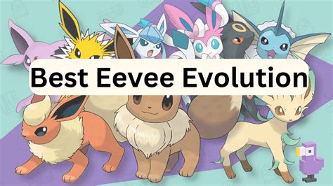 Understanding Eevee's Evolutionary Path