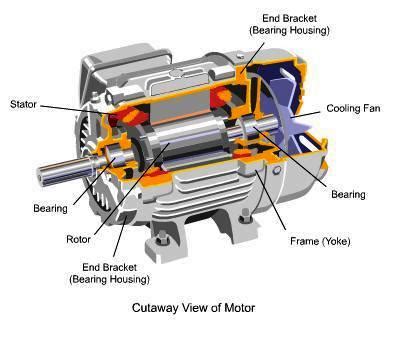 Understanding Engine Bearings: The Basics