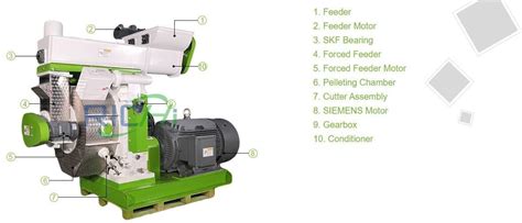 Understanding Extrusion Pellet Making Machines