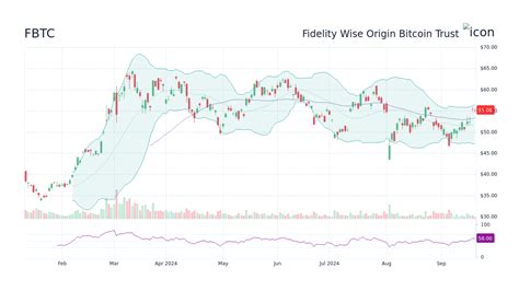 Understanding FBTC's Bitcoin Per Share