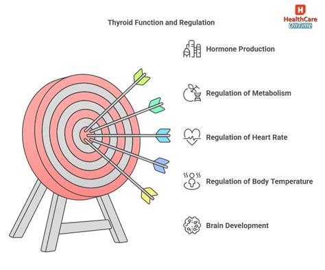 Understanding FT3 and Its Functions