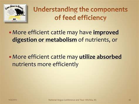 Understanding Feed Efficiency