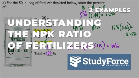 Understanding Fertilizer 13: NPK Analysis