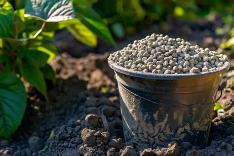 Understanding Fertilizer Granulation: The Need for Granules