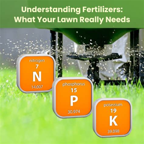 Understanding Fertilizer Needs: What, How, and When