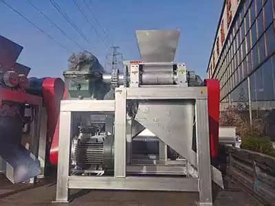 Understanding Fertilizer Roller Press Granulator