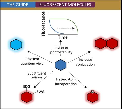 Understanding Fluorescence