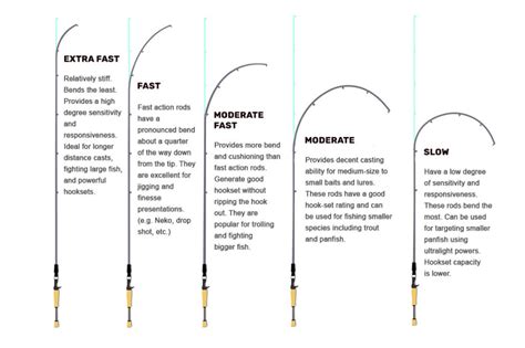 Understanding Fly Rod Lengths in Feet