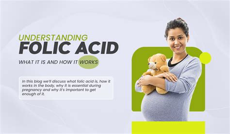 Understanding Folic Acid: The Pregnancy Essential