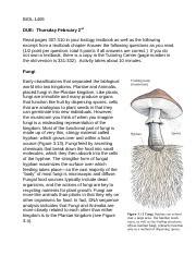 Understanding Fungi Kindle Editon