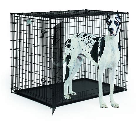 Understanding Giant Dog Crates