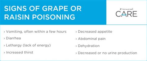 Understanding Grape Toxicity