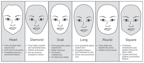 Understanding Hair Volume and Head Shape