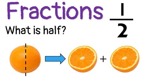 Understanding Half Fraction