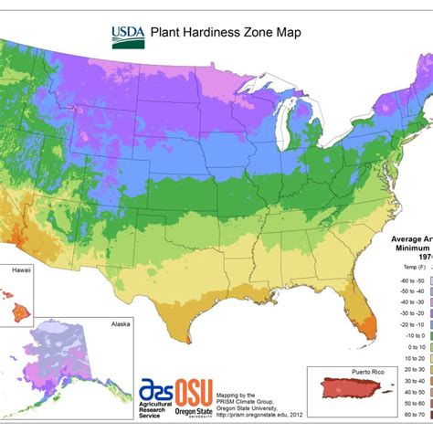 Understanding Hardiness Zones