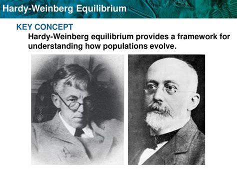 Understanding Hardy-Weinberg Equilibrium