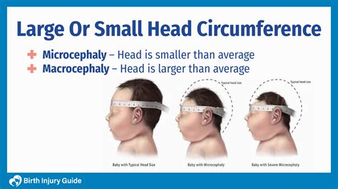 Understanding Head Circumference