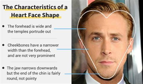 Understanding Heart-Shaped Faces: Key Characteristics