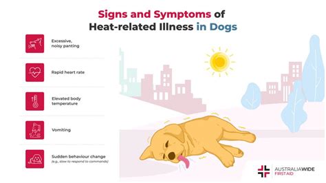 Understanding Heat-Related Illnesses in Dogs