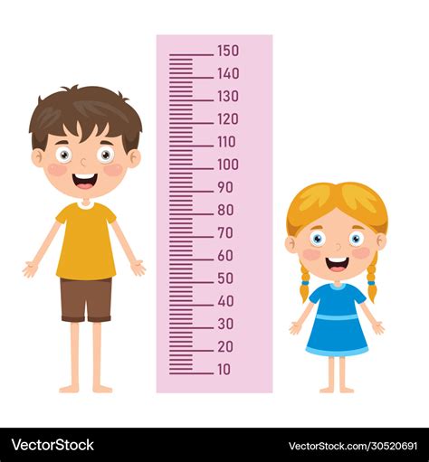 Understanding Height Measurement