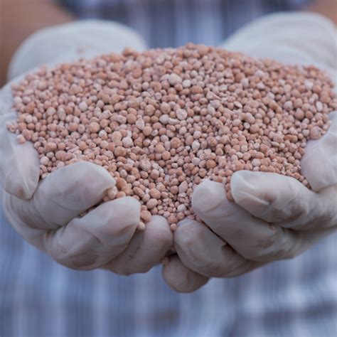 Understanding High Potash Fertilizer: A Key to Optimal Plant Growth