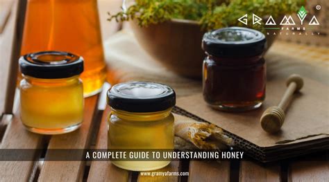 Understanding Honeyt14