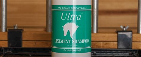 Understanding Horse Liniment