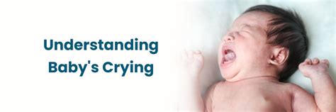 Understanding Infant Crying: